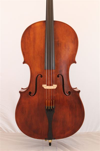 Wessex Cello (XVI SERIES) Reddish Brown Set Up