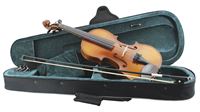 Load image into Gallery viewer, Primavera 200 Violin Outfit - Sizes 4/4 to 1/16

