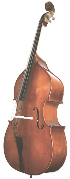 WESTBURY DOUBLE BASS ONLY VIOLIN AND GAMBA SHAPE
